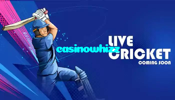 available types of casinowhizz bet including pre-match live express and system bets